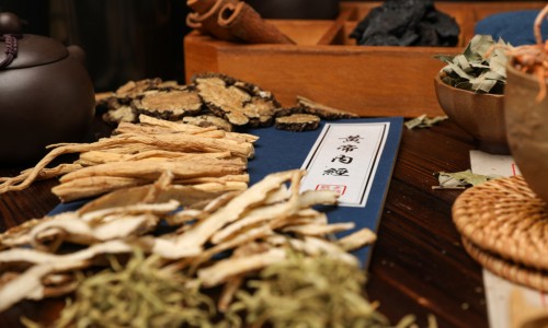 口腔用药一览表-口腔用药有哪些-口腔用药特点有哪些,中国口腔用药特点网站